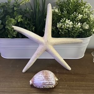 Seashell Decorations, Large White Faux Starfish, Shell With The Lord’s Prayer